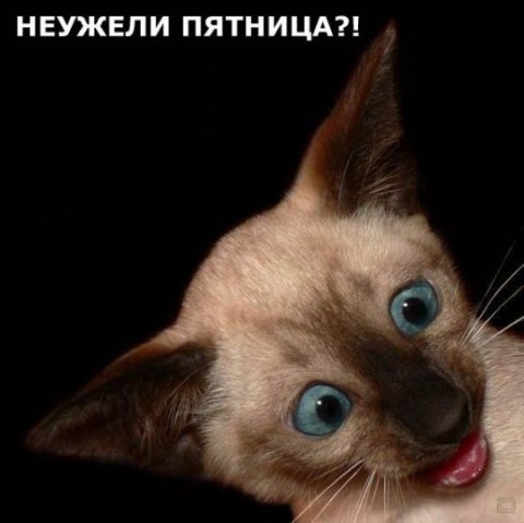 пятниц..jpg