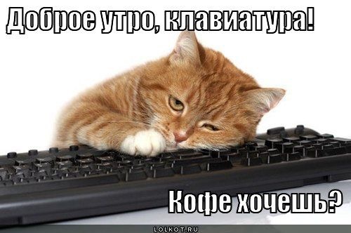 2016-11-28 09.36.38.jpg