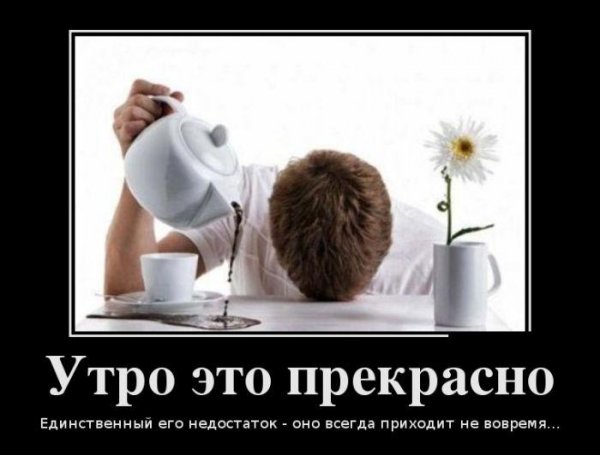 утро 1.jpg