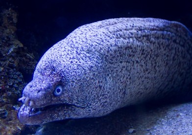 76010_900.jpg