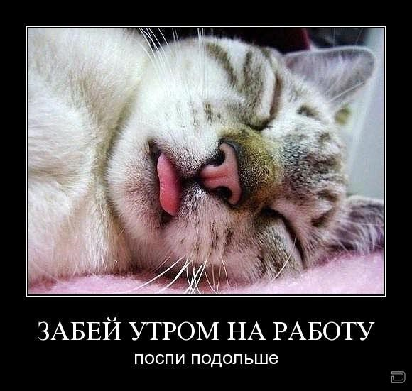 работа сп.png