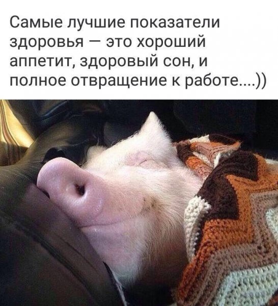 2017-10-20 12.08.14.jpg