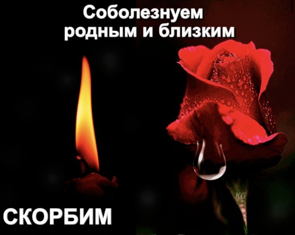 3DB9385B-6517-4094-A44B-BDF5D6EF19F0.jpeg